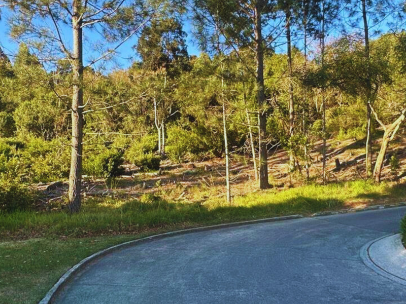 A view of the residential street frontage showing the paved road, concrete curbing, and the natural sloped landscape of the vacant plot.