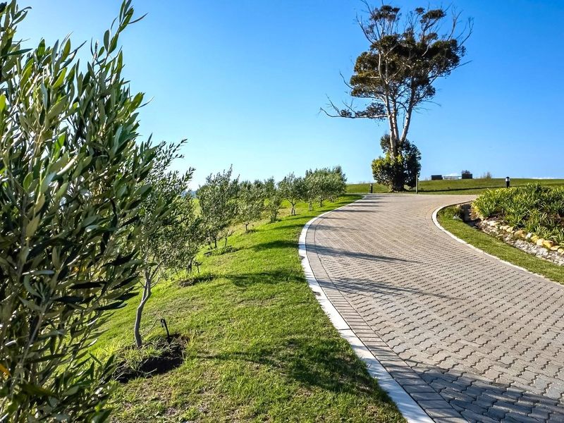 A well-maintained paved driveway leading through a landscaped residential plot with established trees and manicured grass verges.