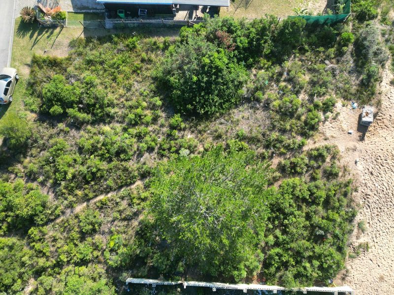 An aerial view of a vacant residential plot featuring natural vegetation, mature trees, and sandy ground cover.
