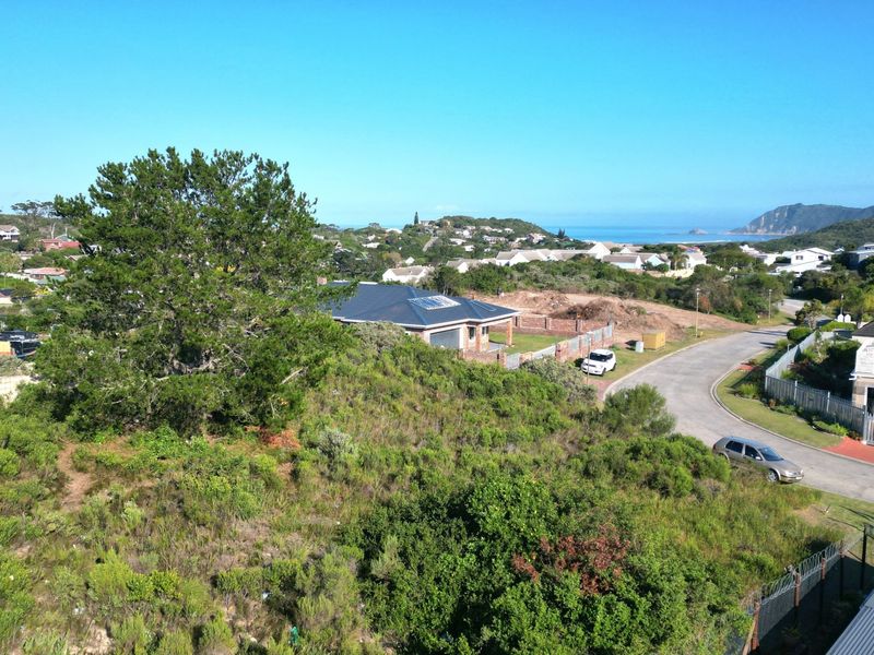 An elevated aerial view of a vacant residential plot featuring natural vegetation, with surrounding neighborhood infrastructure and distant coastal views.