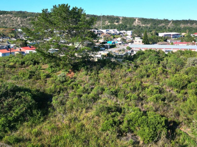 An elevated aerial view of a vacant residential plot featuring natural vegetation and mature trees, situated within a developed coastal neighborhood.
