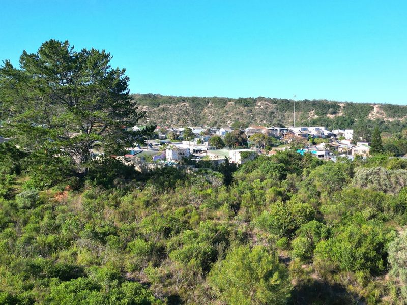 An aerial view of a vacant residential plot featuring native vegetation and mature trees, overlooking a surrounding suburban neighborhood.
