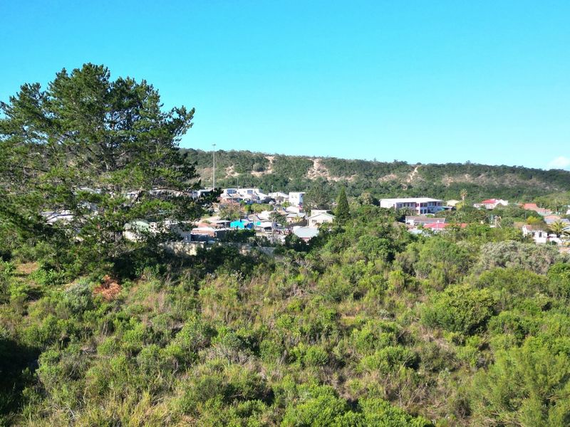 An elevated view of the vacant residential land featuring natural vegetation and mature trees, overlooking the surrounding neighborhood and hillside.