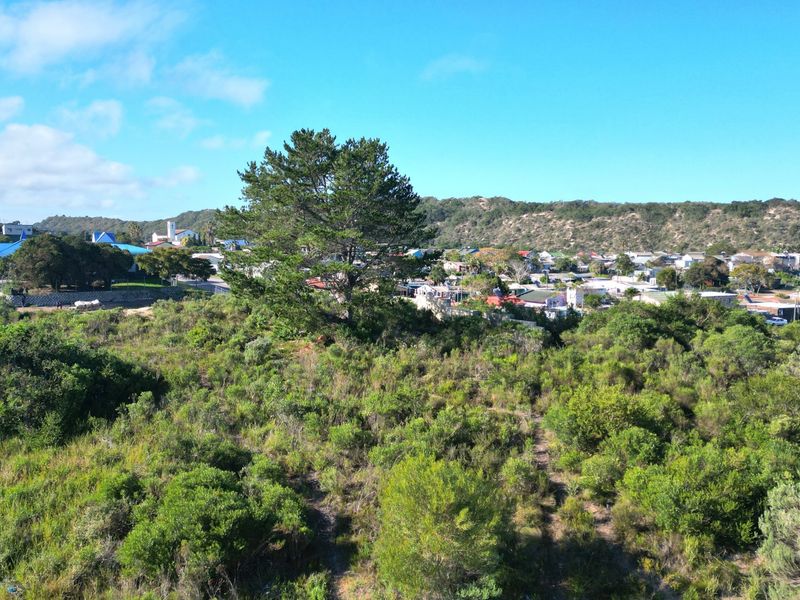 An aerial view of a vacant residential plot featuring natural vegetation and mature trees, overlooking the surrounding neighborhood and coastal landscape.