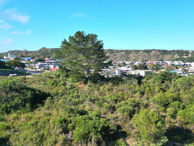 An aerial view of a vacant residential plot featuring native vegetation and surrounding neighborhood landscape.