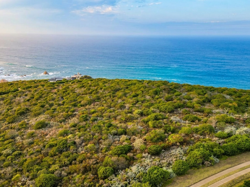 An elevated aerial view of a large, undeveloped coastal residential plot featuring native vegetation and direct proximity to the ocean.