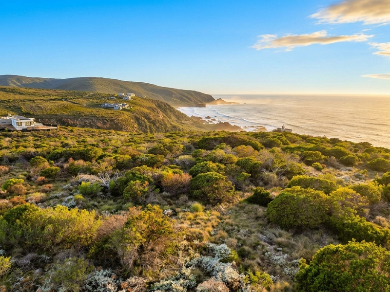 A scenic aerial view of the coastal landscape featuring native vegetation and an expansive ocean horizon at sunset.