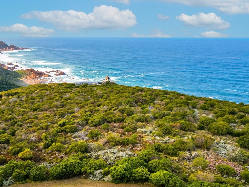 An aerial view of a coastal residential plot featuring expansive native vegetation and direct ocean views.