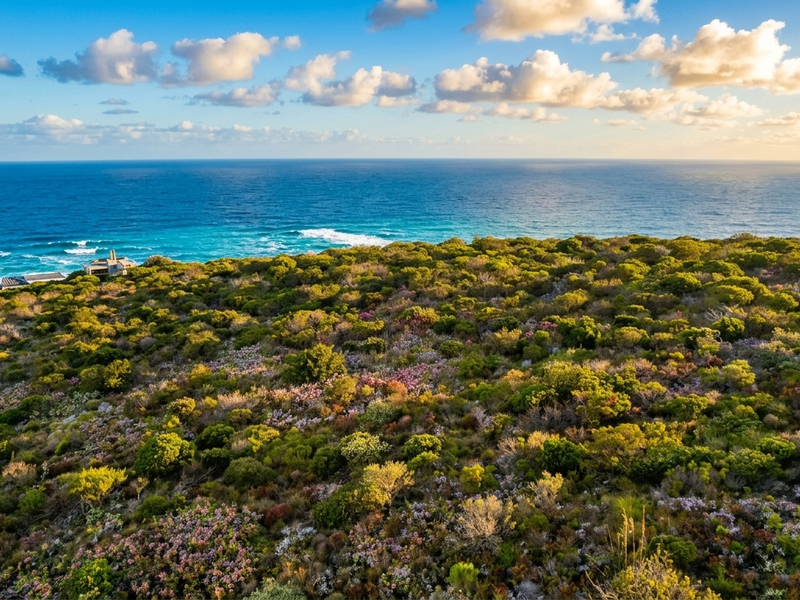 An aerial view of a vacant residential plot featuring lush coastal vegetation and direct ocean frontage.