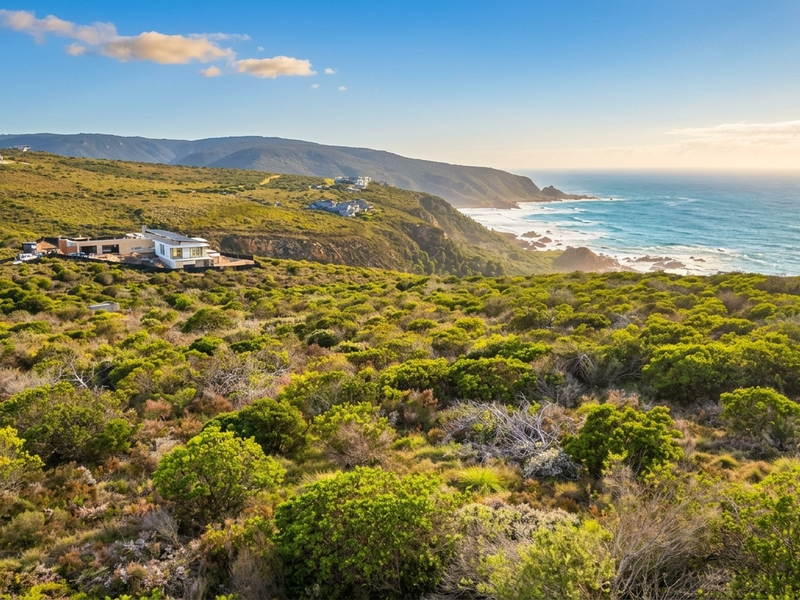 An expansive aerial view of a coastal residential plot featuring native vegetation and panoramic ocean views.