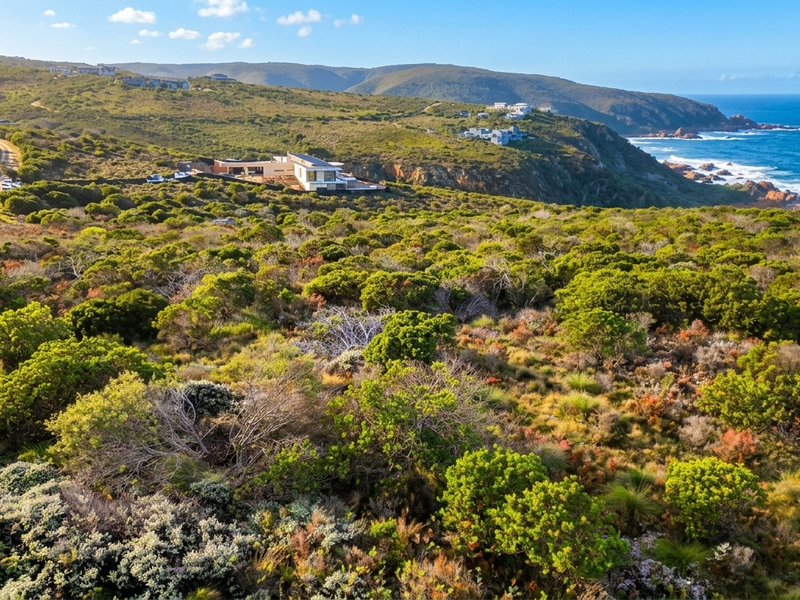 An aerial view of a coastal residential plot featuring native vegetation, rugged terrain, and scenic ocean views.
