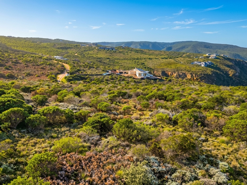 An aerial view of a large, undeveloped coastal residential plot featuring native vegetation and scenic ocean views.