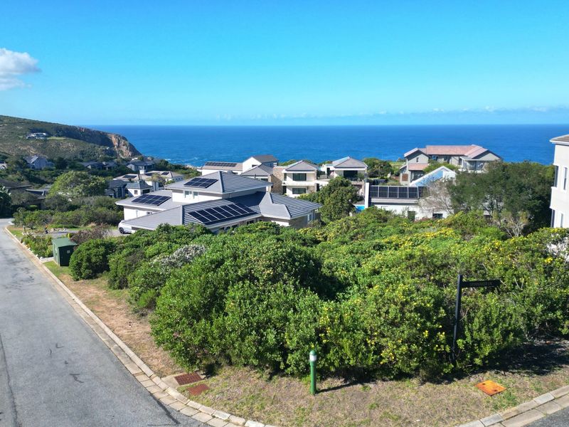 An aerial view of a residential street in a coastal estate, showcasing the surrounding neighborhood and ocean horizon.