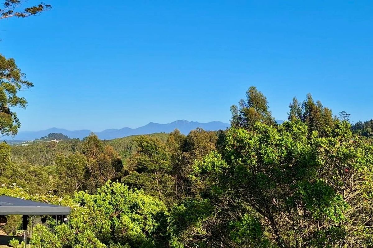 A scenic landscape view featuring lush green trees and distant mountain ranges under a clear blue sky.