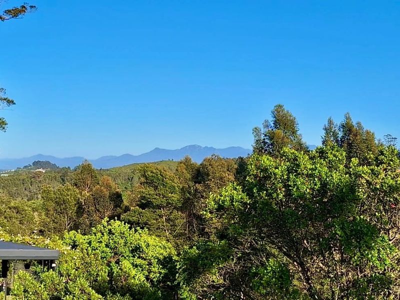A scenic landscape view featuring lush green trees and distant mountain ranges under a clear blue sky.