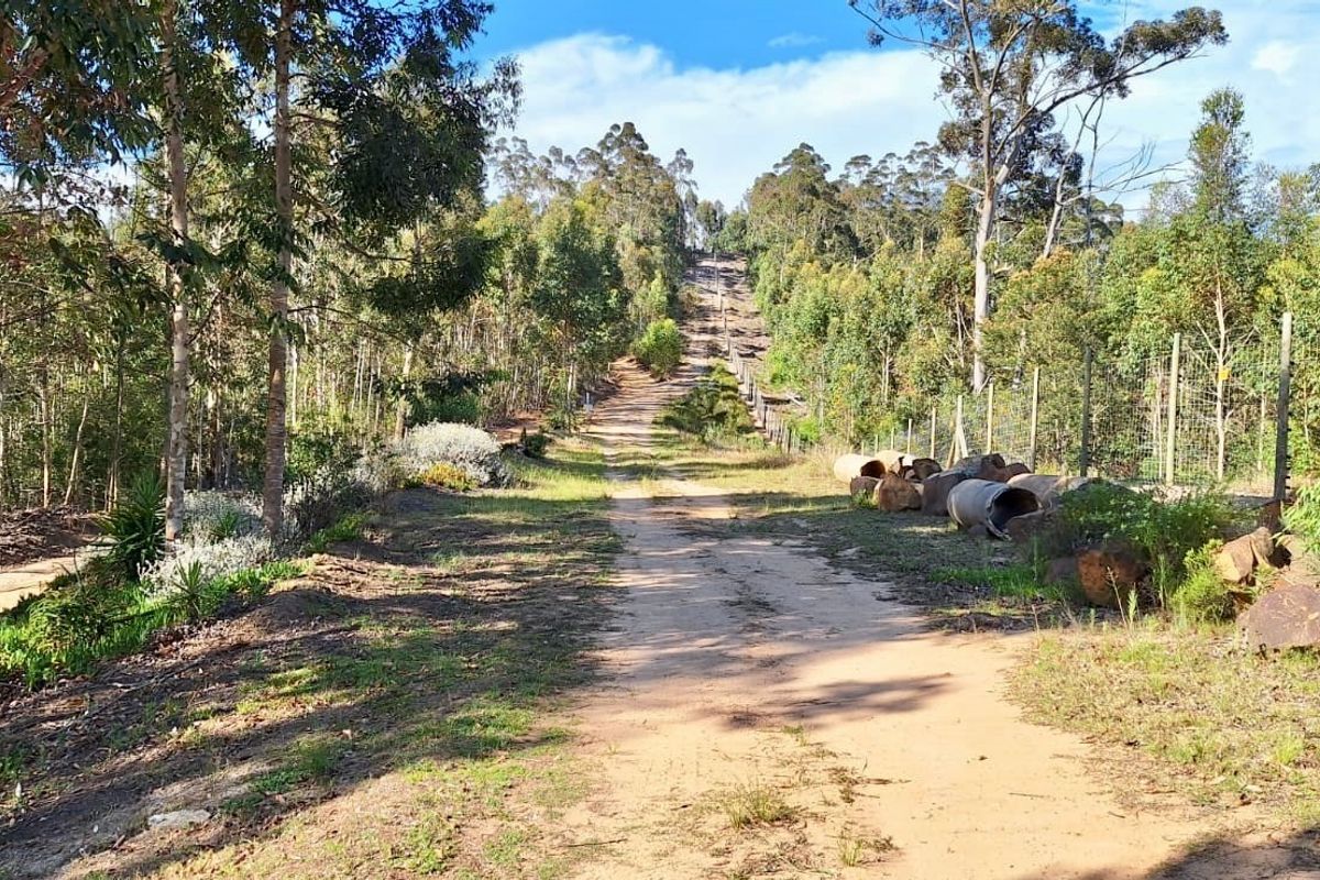 A view of a dirt access track leading up a slope on a vacant residential plot, bordered by mature trees and wire mesh fencing.