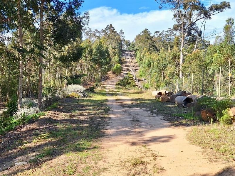 A view of a dirt access track leading up a slope on a vacant residential plot, bordered by mature trees and wire mesh fencing.