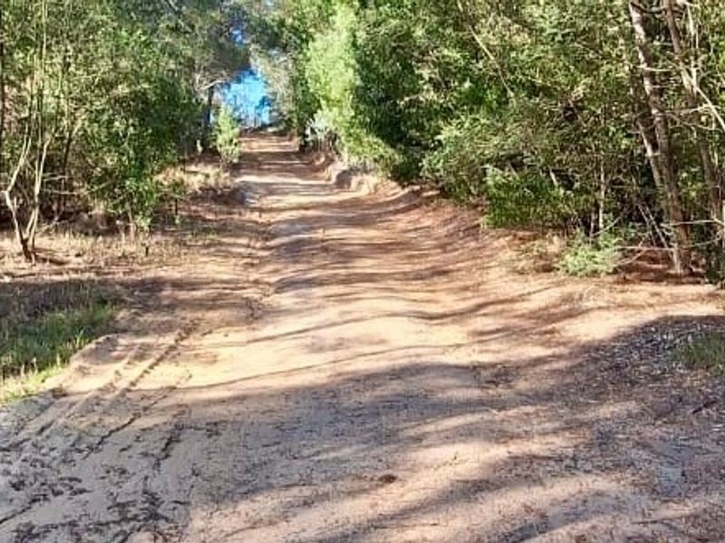A view of an unpaved access road leading up a slope, surrounded by dense native trees and vegetation on a vacant residential plot.