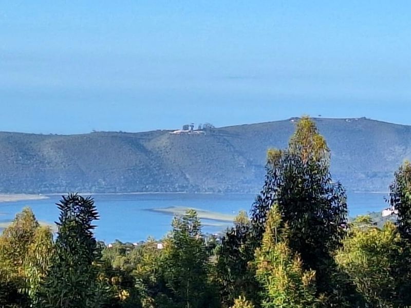 A scenic landscape view overlooking a tranquil lake and rolling hills, framed by native trees.
