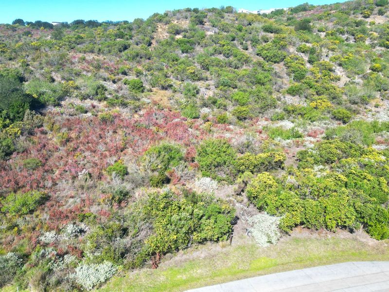 An aerial view of a vacant residential plot featuring natural sloped terrain and established native vegetation.