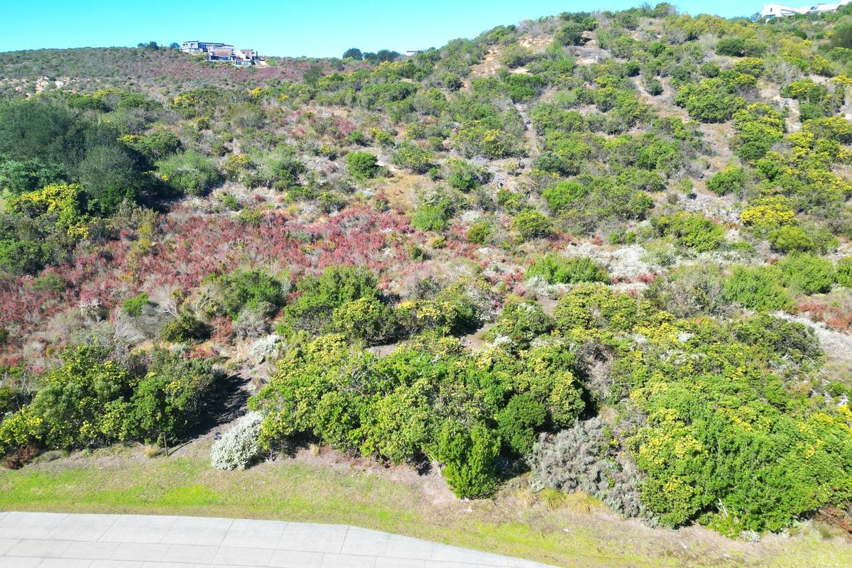 An aerial view of a sloped, undeveloped residential plot featuring natural vegetation and surrounding landscape.