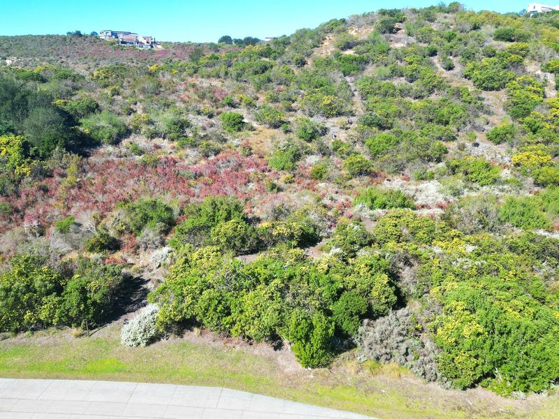 An aerial view of a sloped, undeveloped residential plot featuring natural vegetation and surrounding landscape.
