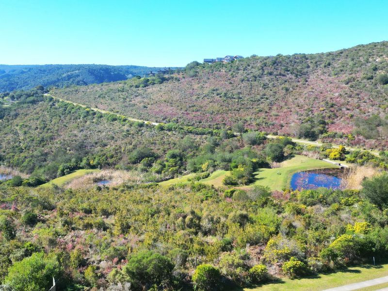 An aerial view of the vacant residential land featuring natural vegetation, rolling hills, and small ponds within the estate landscape.