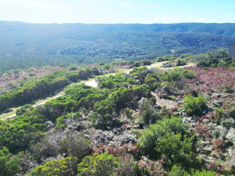 An aerial view of a sloped residential plot featuring native vegetation and a paved access road, set against a scenic mountainous landscape.