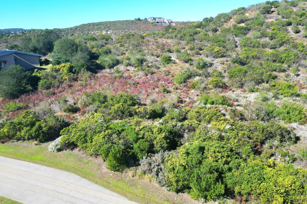 An aerial view of a sloped, undeveloped residential plot featuring native vegetation and adjacent paved road access in a scenic estate setting.