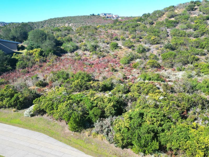 An aerial view of a sloped, undeveloped residential plot featuring native vegetation and adjacent paved road access in a scenic estate setting.