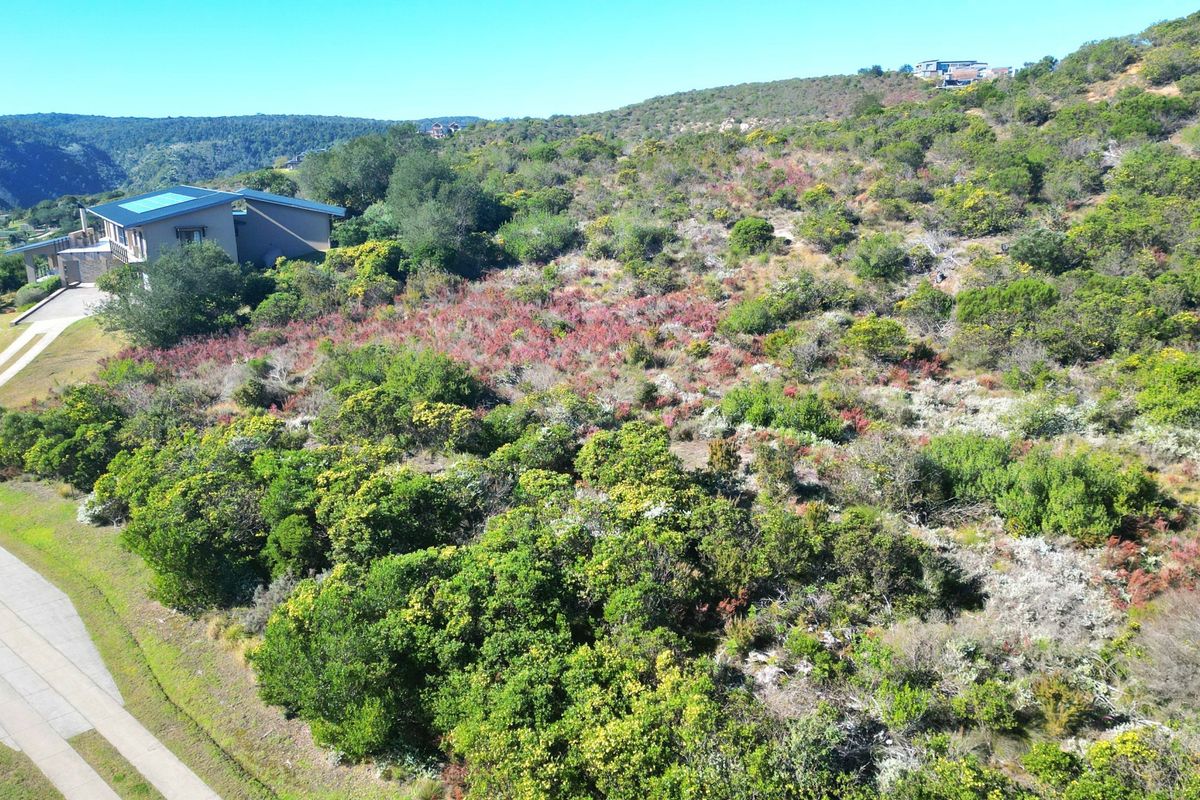 An aerial view of a vacant residential plot featuring native vegetation and an adjacent paved driveway access point.