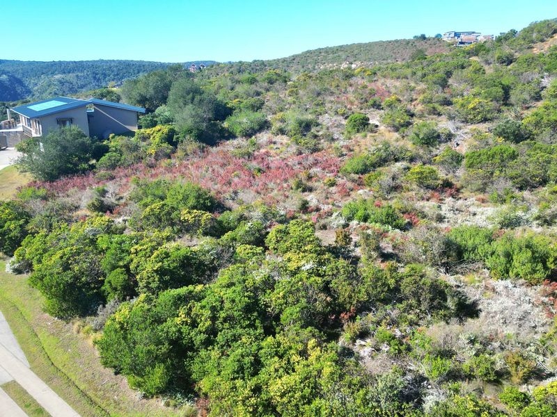 An aerial view of a vacant residential plot featuring native vegetation and an adjacent paved driveway access point.