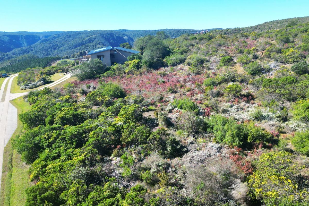 Aerial view of a residential vacant land plot featuring natural vegetation and an adjacent paved driveway leading to a nearby property.