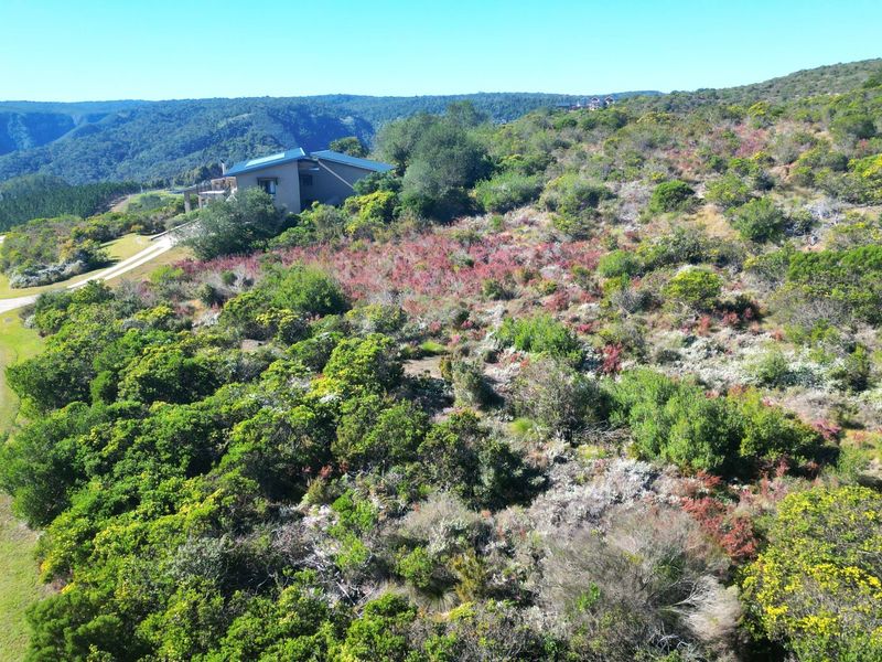 Aerial view of a residential vacant land plot featuring natural vegetation and an adjacent paved driveway leading to a nearby property.