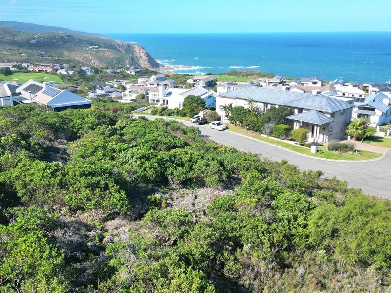 An aerial view of a residential coastal estate featuring established vegetation, paved roads, and proximity to the ocean.