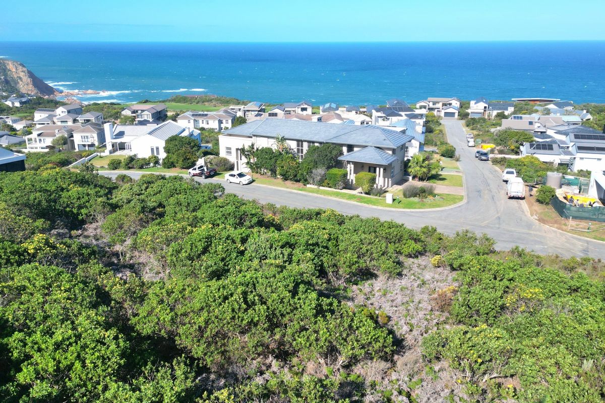 An aerial view of a coastal residential estate featuring paved roads, established homes, and surrounding native vegetation with ocean views.