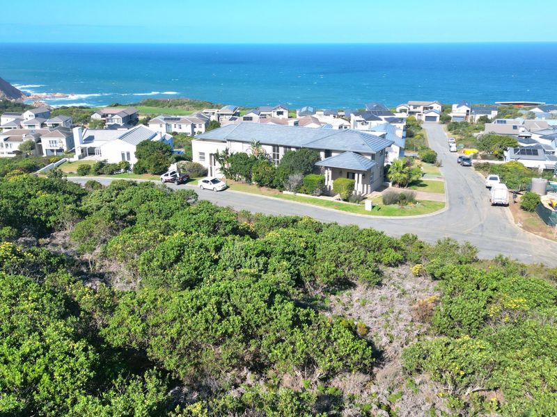 An aerial view of a coastal residential estate featuring paved roads, established homes, and surrounding native vegetation with ocean views.