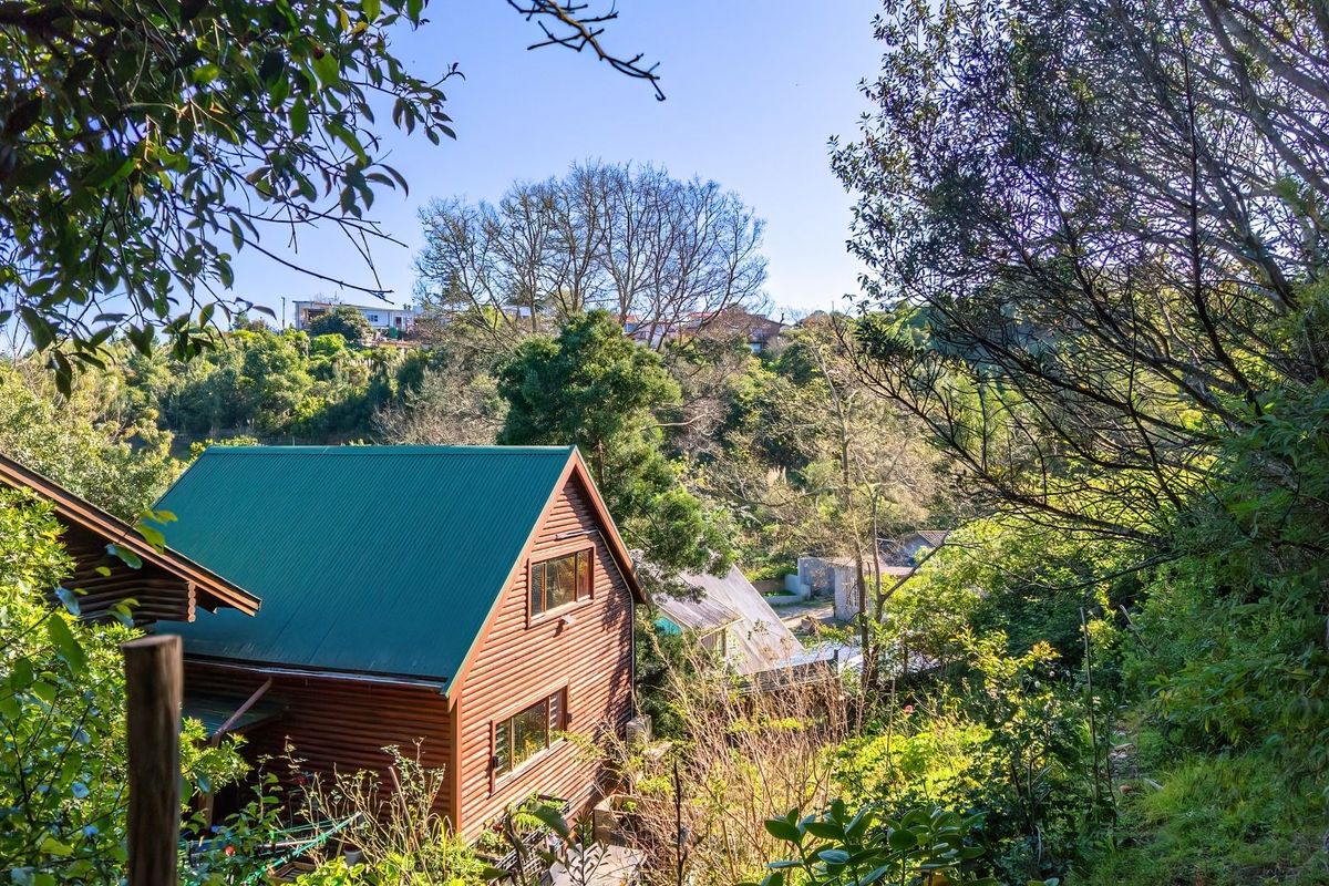 A view of a timber-clad house with a green corrugated metal roof, nestled within a lush, tree-filled garden setting.