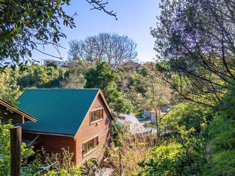 A view of a timber-clad house with a green corrugated metal roof, nestled within a lush, tree-filled garden setting.