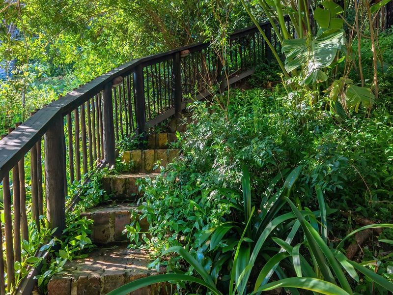 A rustic brick staircase with a timber balustrade winding through a lush, overgrown garden setting.