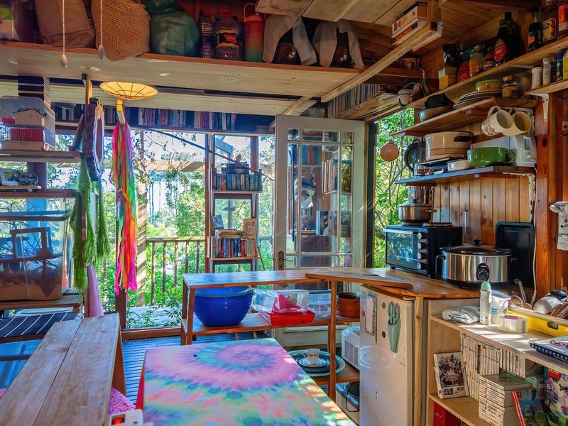 A rustic kitchen area featuring timber wall cladding, open shelving, and direct access to an outdoor deck through a glass-paned door.