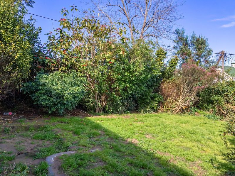 A private backyard area featuring a lawn and established mature trees, offering potential for landscaping and outdoor improvement.