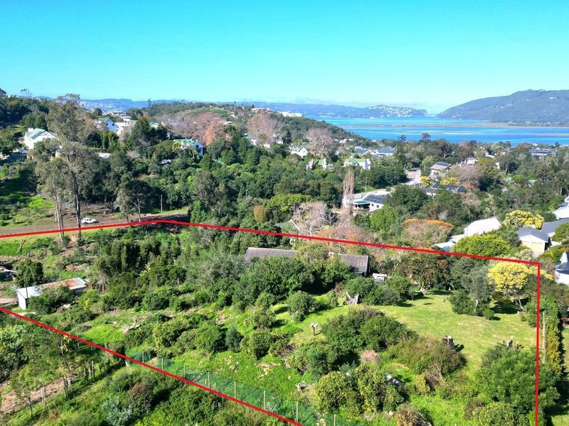 Aerial view of a large, tree-filled residential plot with a defined boundary, showcasing the surrounding landscape and proximity to the estuary.