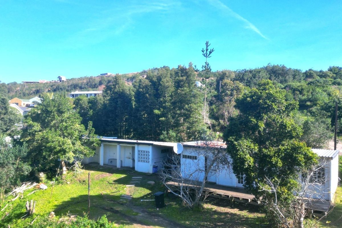 Rear view of a single-story house featuring a timber deck, corrugated roof, and surrounding garden area with mature trees.