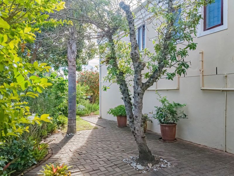 A paved side path leading along the rear exterior wall of the house, featuring mature trees and established garden landscaping.