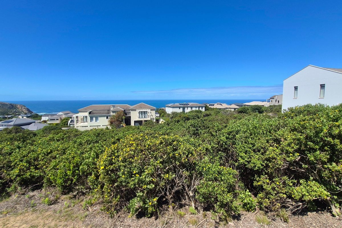 A scenic elevated view overlooking coastal vegetation with residential properties and the ocean in the background.