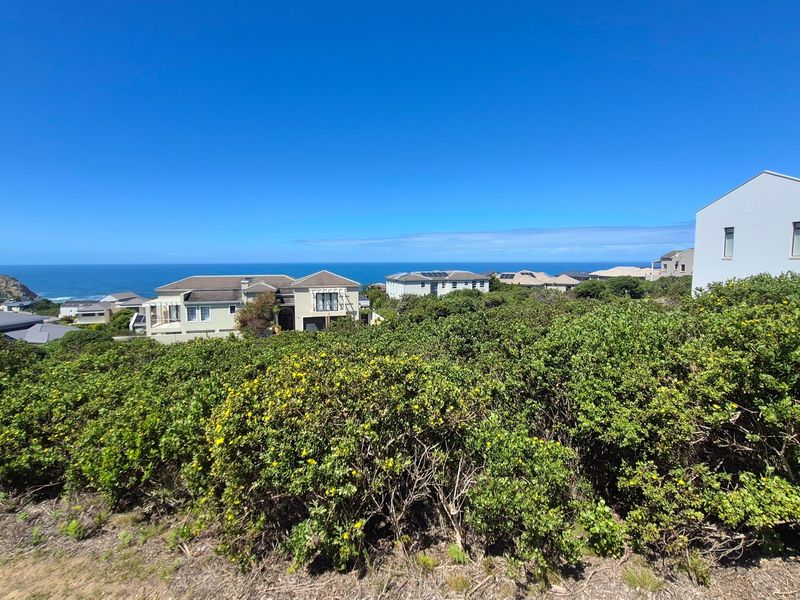 A scenic elevated view overlooking coastal vegetation with residential properties and the ocean in the background.