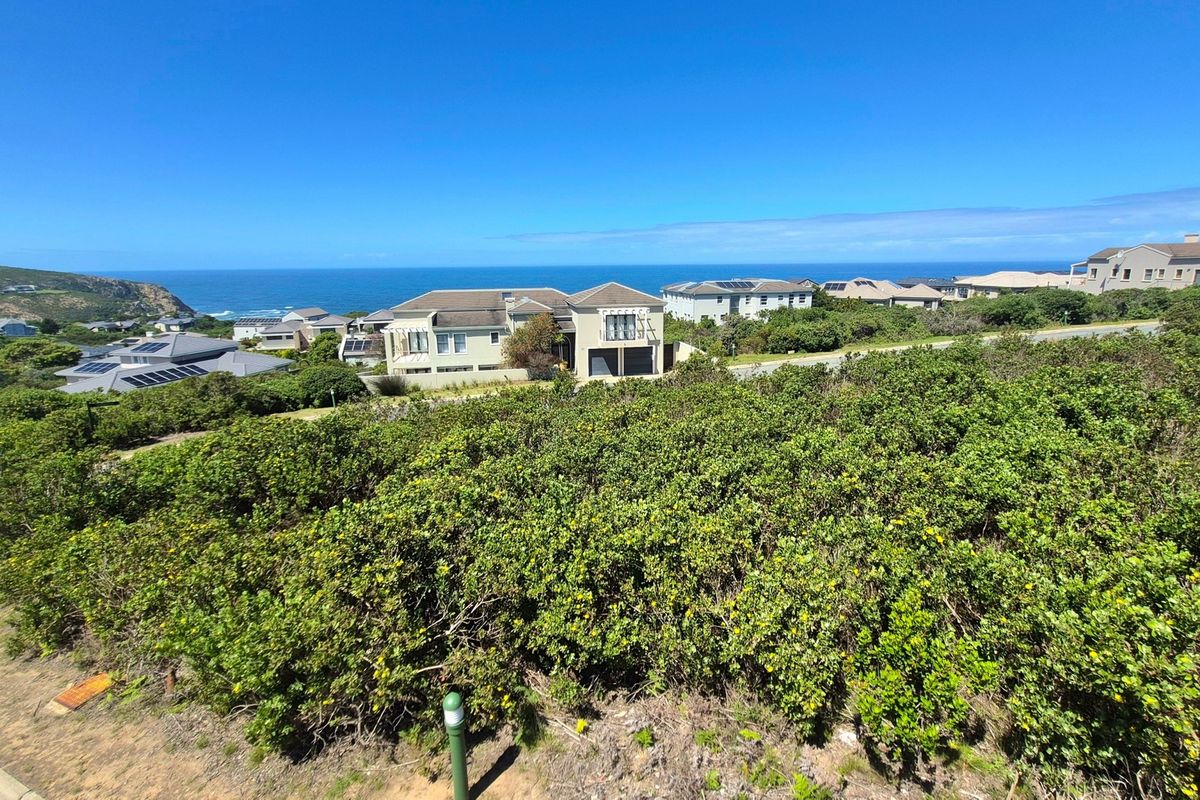 A scenic elevated view overlooking a coastal residential area with expansive ocean vistas and natural vegetation.