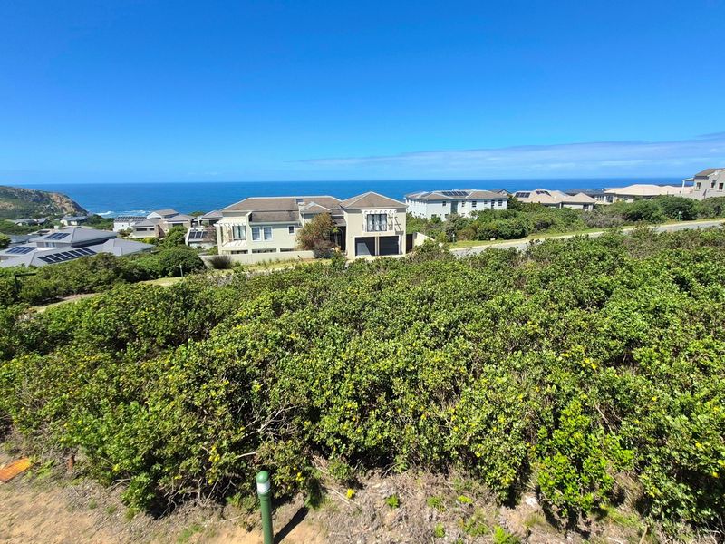 A scenic elevated view overlooking a coastal residential area with expansive ocean vistas and natural vegetation.