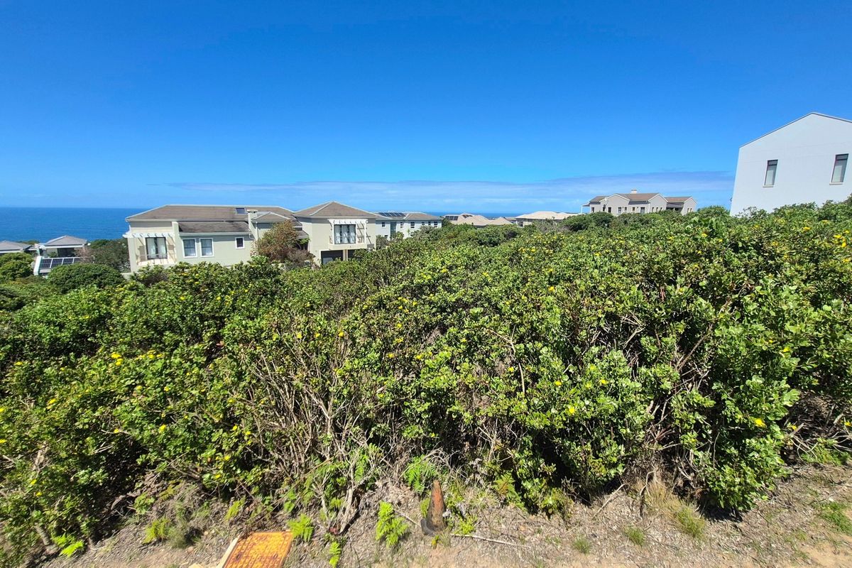 A scenic view overlooking coastal vegetation with residential properties in the background and a clear ocean horizon.